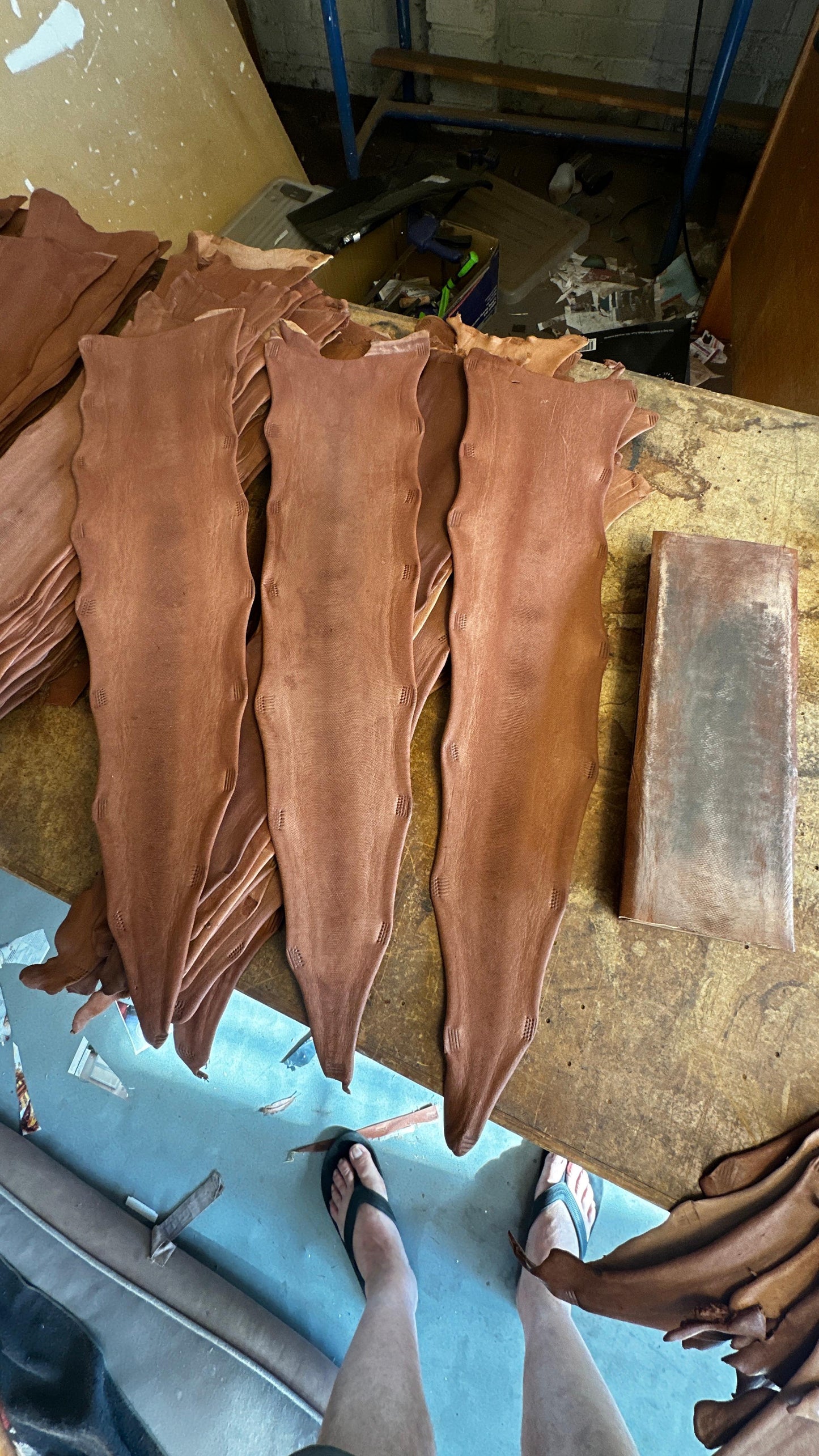 Kangaroo Tails. Excellent For Knife Stropping!